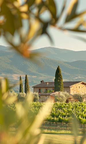 Panorama villa toscana agriturismo